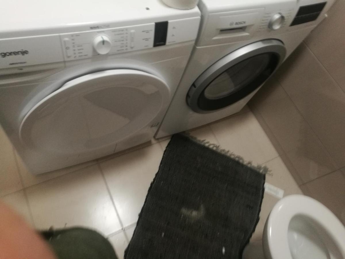 Apartma Burjuca Daire Ajdovščina Dış mekan fotoğraf